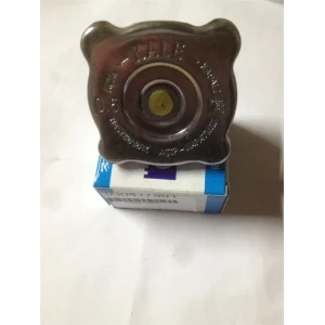 RADYATÖR KAPAĞI ÜNIVERSAL 0.5 BAR