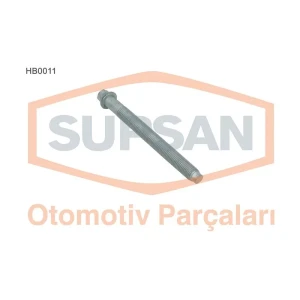 SAPLAMA SETİ RENAULT KANGOO MEGANE TRAFİC 1.9 DCI 7700114745×10 ADET