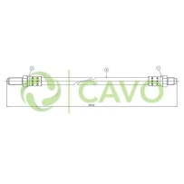 CAVO