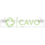 CAVO