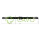 CAVO