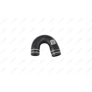 TURBO HOTYUMU PALİO ALBEA