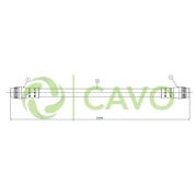 CAVO