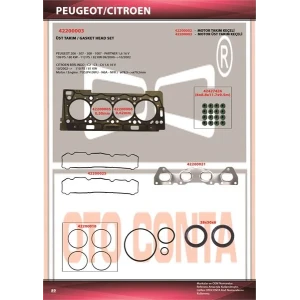 PEUGEOT 206 1.6 16 V ÜSTL TAKIM CONTA KEÇELİ SUBAP LASTİKLİ TU5JP4 (NFU-N6A-NFR)