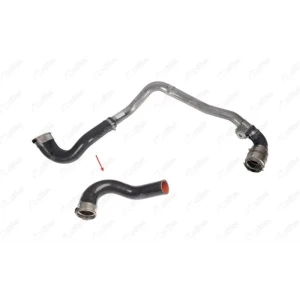 TURBO HORTUMU METAL BORU HARİÇOK İLE GÖSTERİLEN BÜYÜK HORTUM NISSAN NV400 PANELVAN/VAN (X62, X62B)NISSAN NV400 PLATFORM ŞASİ (X62, X62B)OPEL MOVANO B DAMPERLİ ARAÇ (X62)OPEL MOVANO B PANELVAN/VAN (X62)OPEL MOVANO B PLATFORM ŞASİ (X62)RENAULT MASTER III Mİ