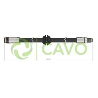 CAVO