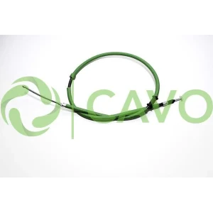 CAVO