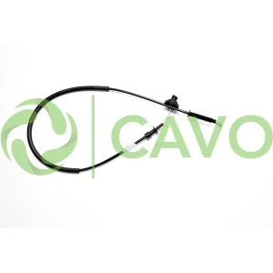 CAVO