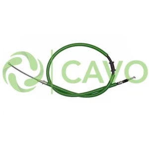 CAVO