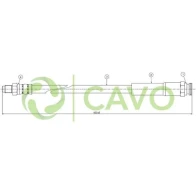 CAVO