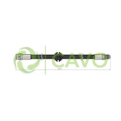 CAVO