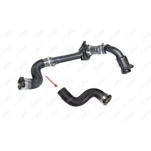 TURBO HORTUMU PLASTİK BORU HARİÇOK İLE GÖSTERİLEN BÜYÜK HORTUM RENAULT FLUENCE (L3_)RENAULT GRAND SCÉNIC III (JZ0/1_)RENAULT MEGANE III COUPE (DZ0/1_)RENAULT MEGANE III GRANDTOUR (KZ0/1)RENAULT MEGANE III HATCHBACK (BZ0/1_, B3_)RENAULT SCÉNIC III (JZ0/1_)