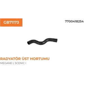 RADYATÖR HORTUMU ÜST MEGANE R19 1.6 8V