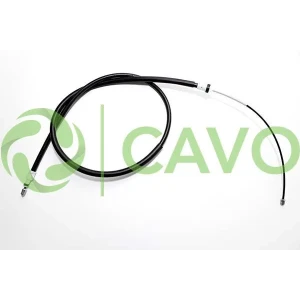 CAVO