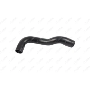 RADYATÖR ÇIKIŞ HORTUMU BMW 3 (E36)BMW 3 CABRİO (E36)BMW 3 COMPACT (E36)BMW 3 COUPE (E36)BMW 3 TOURİNG (E36)
