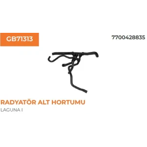 RADYATÖR HORTUMU ALT LAGUNA I 1.9 DCI