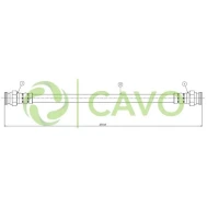 CAVO