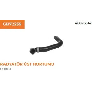GB HORTUM