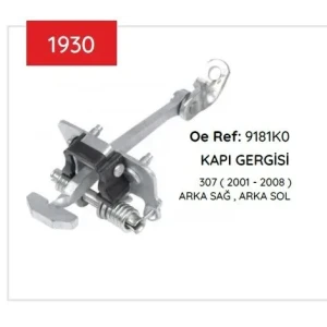 KAPI GERGISI 307 ARKA 9181 K0