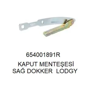 KAPUT MENTEŞESİ SAG DOKKER LODGY