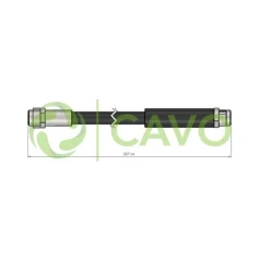 CAVO