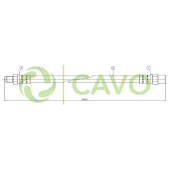 CAVO