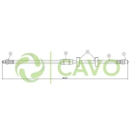 CAVO