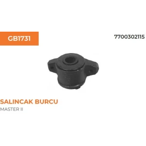 SALINCAK BURCU TRAFIC