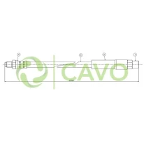 CAVO