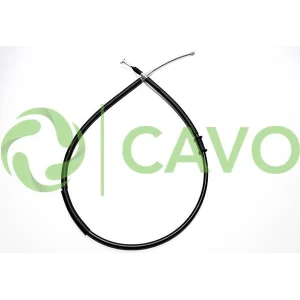 CAVO