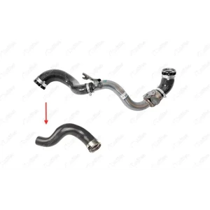TURBO HORTUMU METAL BORU HARİÇOK İLE GÖSTERİLEN BÜYÜK HORTUM FIAT TALENTO KOMBİ VAN (296_)FIAT TALENTO MİNİBÜS/OTOBÜS (296_)FIAT TALENTO PANELVAN/VAN (296_)FIAT TALENTO PLATFORM ŞASİ (296_)MITSUBISHI EXPRESS IV PANELVAN/VANNISSAN NV300 KOMBİ (X82)NISSAN N