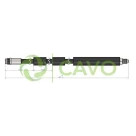 CAVO