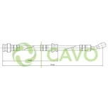 CAVO