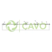 CAVO