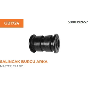 SALINCAK BURCU MASTER