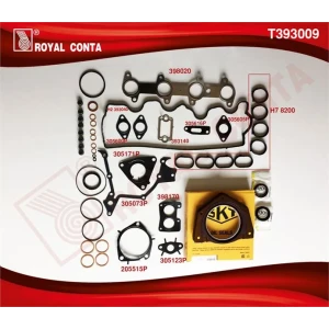 TAKIM CONTA SKT KEÇELİ REINZ S.LASTİKLİ SİLİNDİR KAPAK CONTASIZ FIAT DOBLO PUNTO 1.9 DİZEL 223A6.000 MOTOR