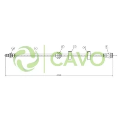 CAVO