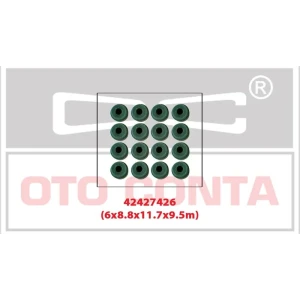 SUBAP LASTİĞİ 16 ADET VITON 6MM DOBLO ALBEA PALIO 1.3 MTJ 16V