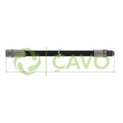 CAVO