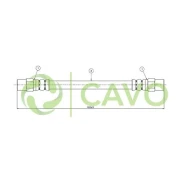 CAVO