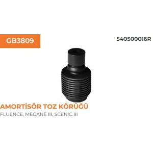 AMORTİSÖR KÖRÜGÜ FLUENCE