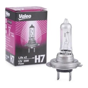 H7 AMPUL KARTON KUTU - TAKIM UZUN ÖMÜR H7 12V 55W