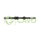 CAVO