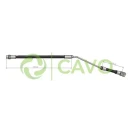 CAVO