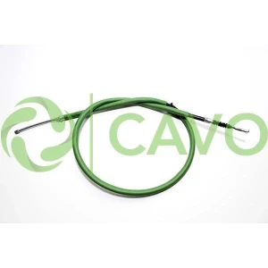 CAVO