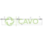 CAVO